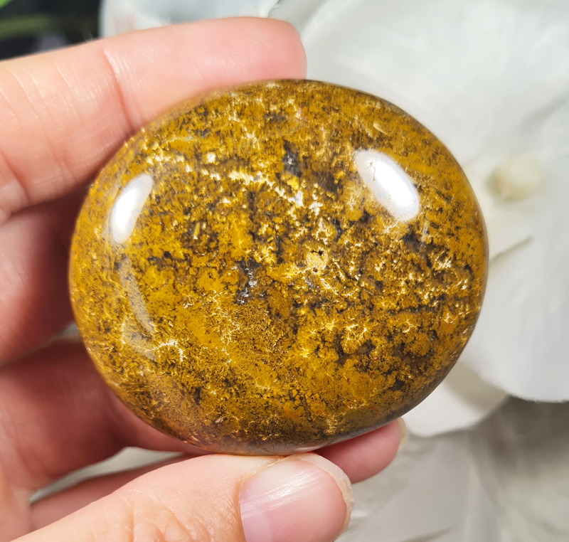 Oceaan Jaspis Groen Handsteen no.10 Edelsteen