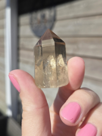 Citrien Punt - diverse soorten Madagaskar - Natuurlijk