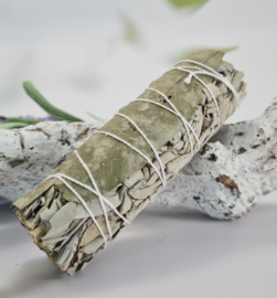 Witte Salie met Eucalyptus Smudge Stick - 10 cm