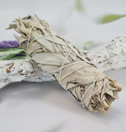 Witte Salie - Smudgestick - 16cm