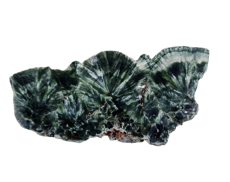 Serafiniet Schijf 8,5 cm no.9