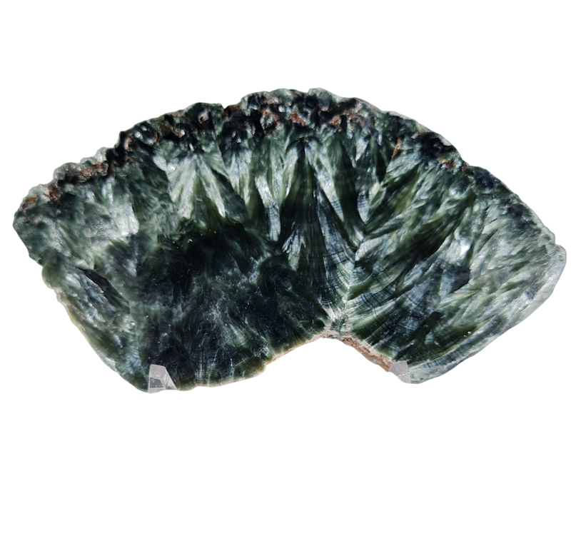 Serafiniet Schijf 9 cm no.6