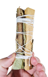 Palo Santo en Eucalyptus Smudge Stick - 10 cm