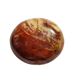 Versteend Hout - no.04 - 4cm - Palmsteen