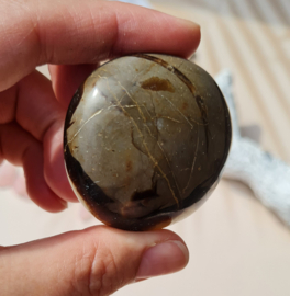 Septarie Handsteen - Unieke Patroon - no.8 - 5 cm