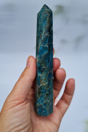 Apatiet - Punt - Blauw - no.4 - 13 cm