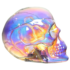 Schedel - Schitter Regenboog LED Schedel - Skull & Bones - 11 cm