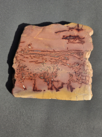 Mookaiet Jaspis Schijf