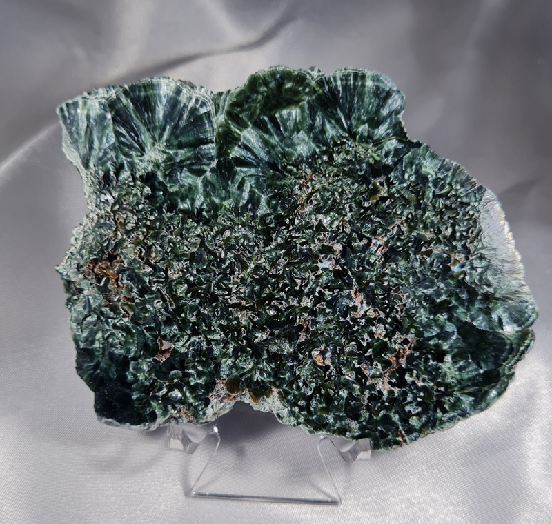 Serafiniet Schijf 10 cm no.2