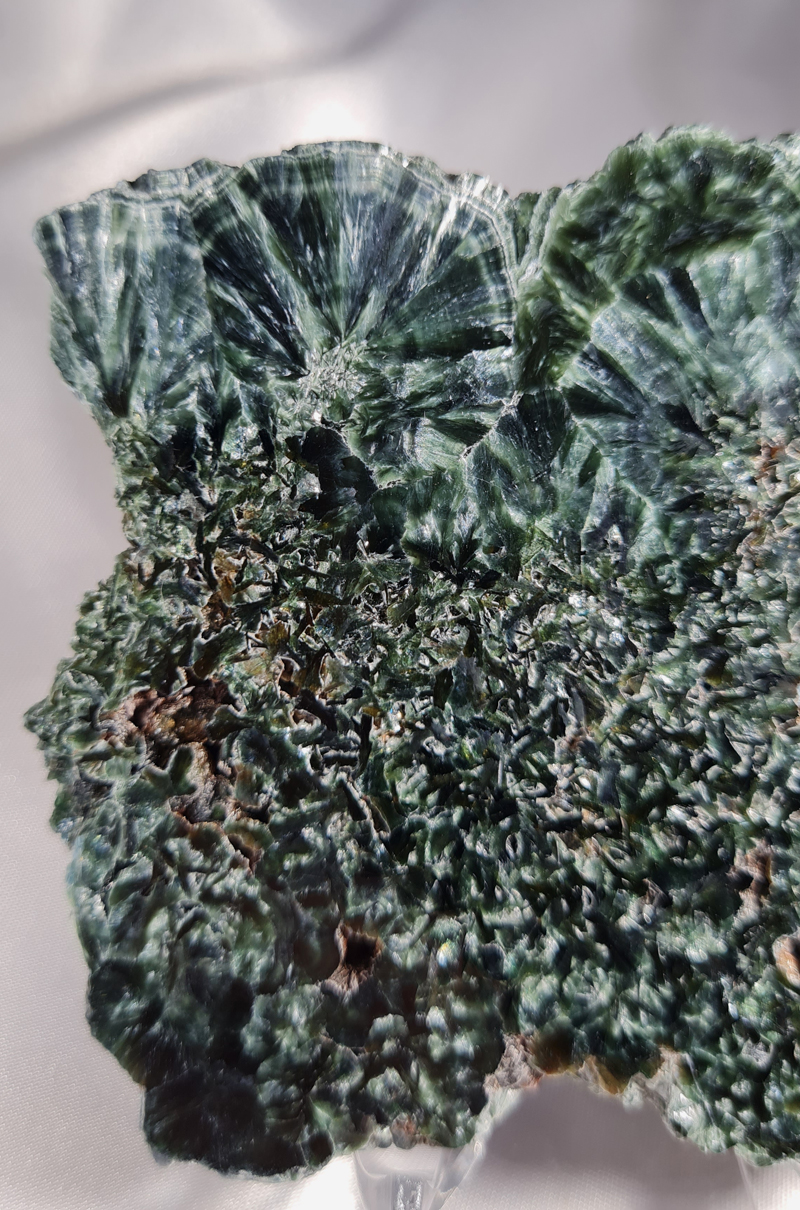 Serafiniet Schijf 10 cm no.2