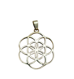 Hanger Levenszaad - Seed of life - Zilverkleur