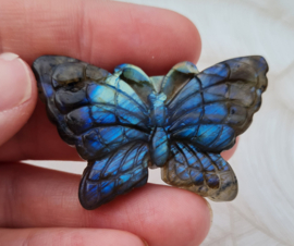 Vlinder Labradoriet Carving - 5 cm
