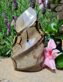 Septarie - Vlam - 12cm