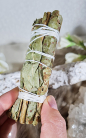 Palo Santo en Eucalyptus Smudge Stick - 10 cm