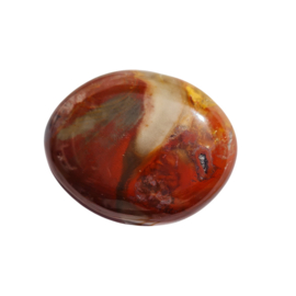 Versteend Hout - no.08 - 4cm - Palmsteen