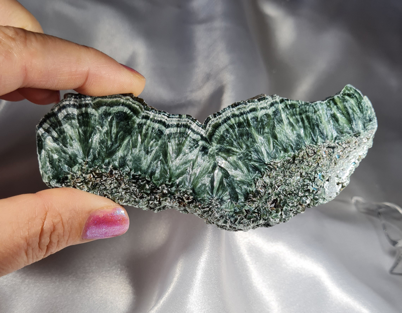 Serafiniet Schijf 11,5 cm no.4