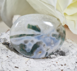 Mosagaat Platte Steen 3,5 cm no.8 Edelsteen