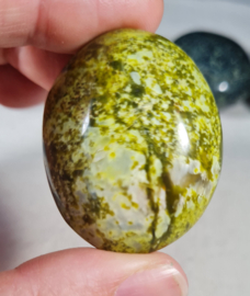 Groene Opaal Palmsteen Edelsteen no.11 - 4 cm