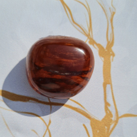 Versteend Hout - no.11 - 3cm - Palmsteen