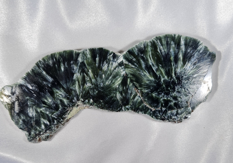 Serafiniet Schijf 12,5 cm no.3