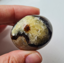 Septarie Handsteen - Ronde Vorm - no.9