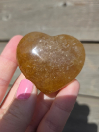 Golden Healer - Limoniet Hart diverse soorten