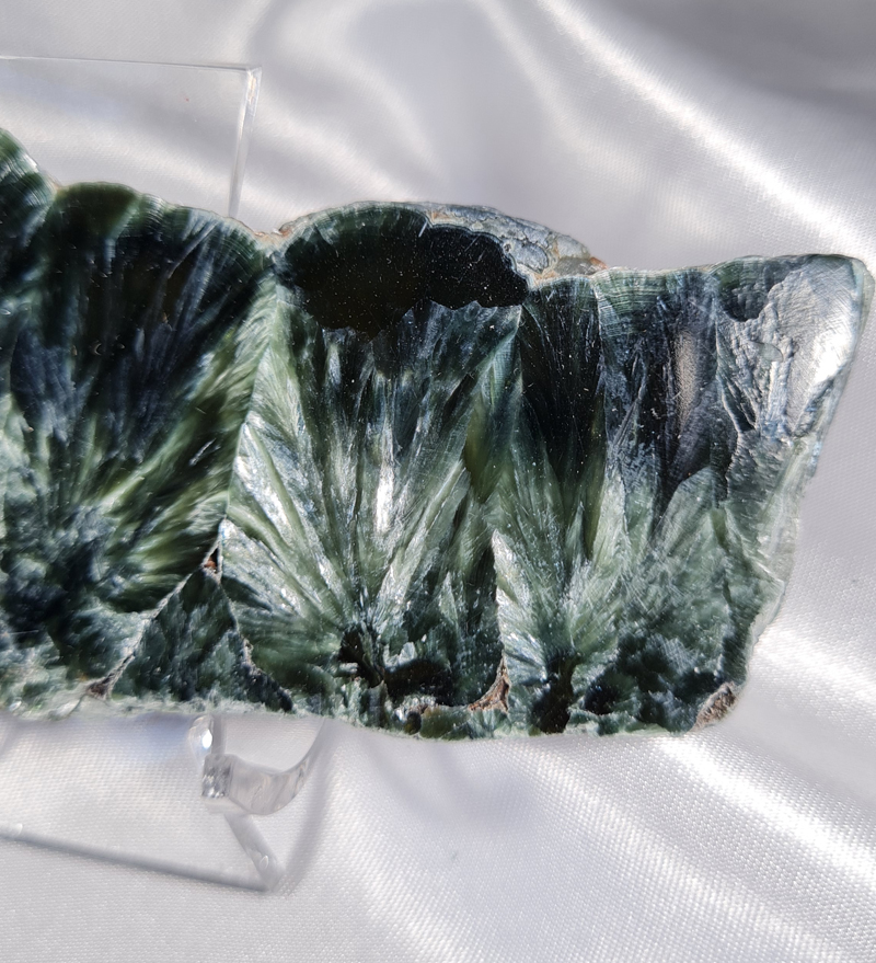 Serafiniet Schijf 10,5 cm no.7