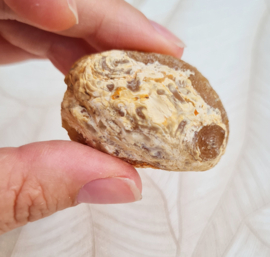 Agaat Geode Druzy Brazilië no.27 - 4,5 cm