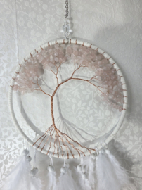 Dromenvanger Levensboom Rozenkwarts Roze 16 cm