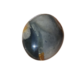 Polychroom Jaspis - Palmsteen - no.4