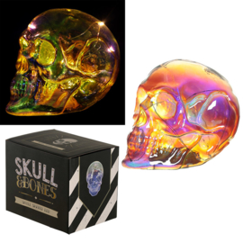 Schedel - Schitter Regenboog LED Schedel - Skull & Bones - 13,5 cm