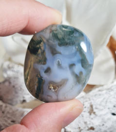 Mosagaat Platte Steen 3,5 cm no.4 Edelsteen