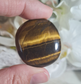 Tijgeroog Platte Steen no.3 - 3,5 cm Edelsteen