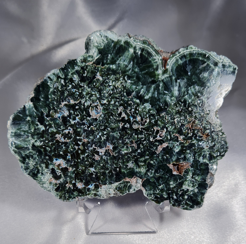 Serafiniet Schijf 10 cm no.2