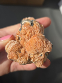 Bariet met Cerussiet Edelsteen Cluster - 5cm - Marokko