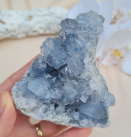 Celestien Edelsteen Geode - Madagaskar - 8,5 cm - Blauw