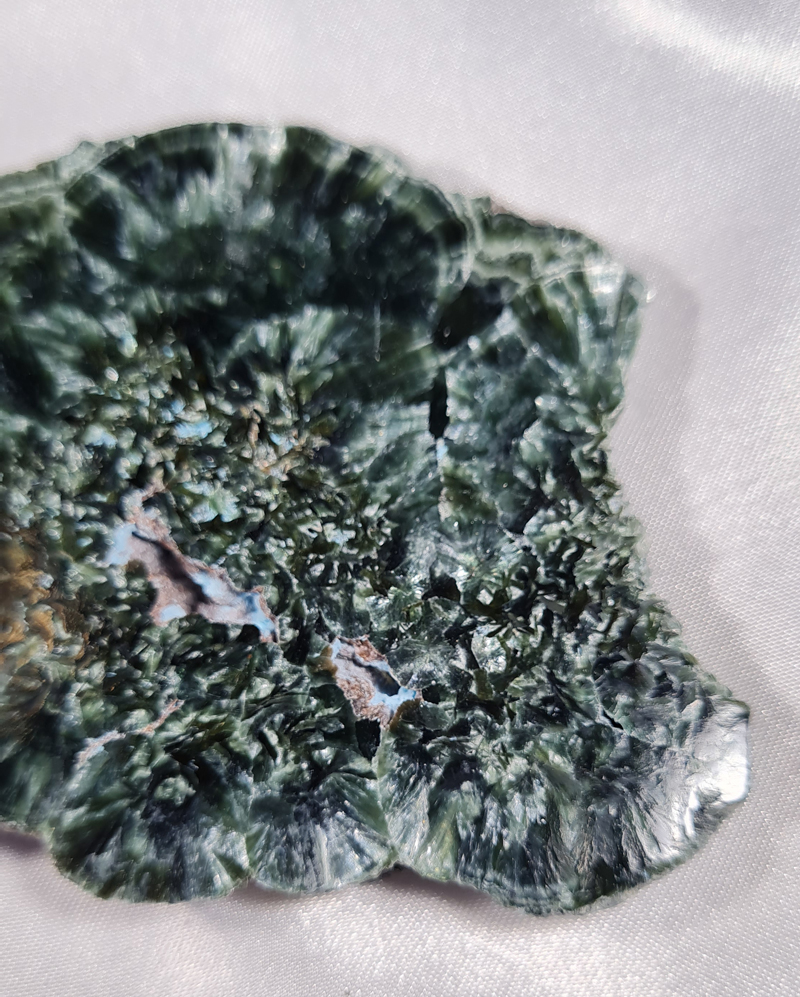 Serafiniet Schijf 13,5 cm no.1