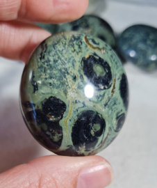 Kambaba Jaspis Handsteen Edelsteen no.6 - 4,5 cm