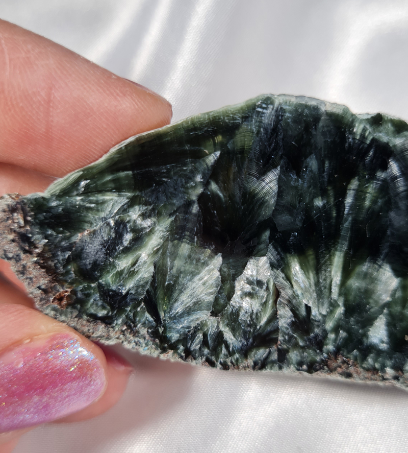 Serafiniet Schijf  11,5 cm no.8