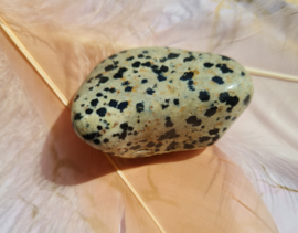 Dalmatiër Jaspis - Trommelsteen - no.1 - L - 4,5 cm