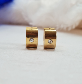 Oorbellen hoop met stras - rvs