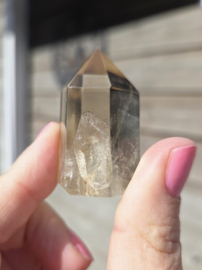 Citrien Punt - diverse soorten Madagaskar - Natuurlijk