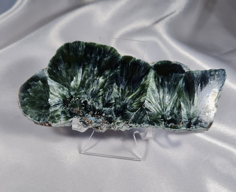 Serafiniet Schijf 10,5 cm no.7