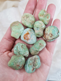 Chrysopraas - Trommelsteen