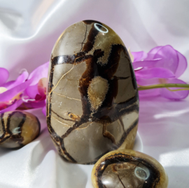 Septarie - Sculptuur - no.1 - 11,5 cm