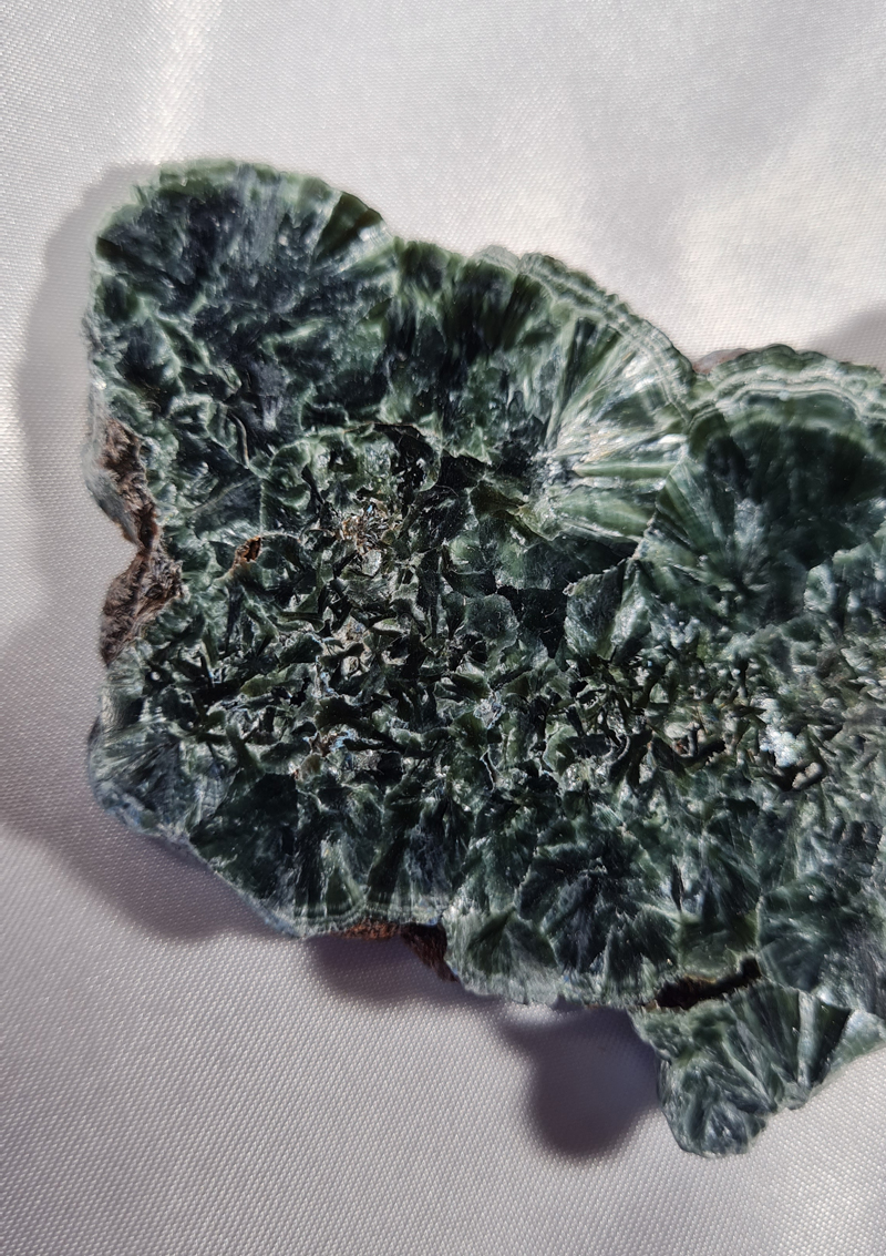 Serafiniet Schijf 13,5 cm no.1