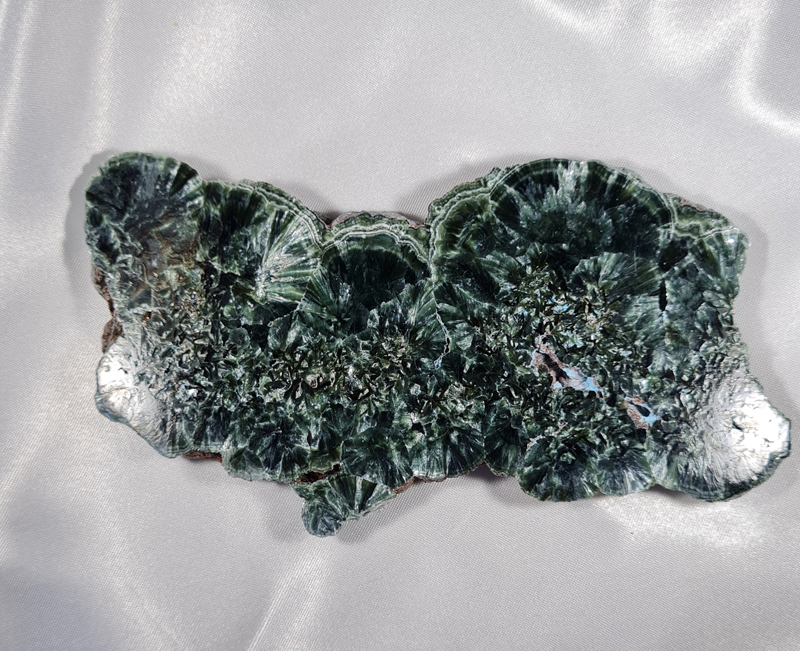 Serafiniet Schijf 13,5 cm no.1