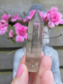 Citrien Punt - diverse soorten Madagaskar - Natuurlijk