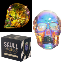 Schedel - Schitter Regenboog LED Schedel - Skull & Bones - 11 cm