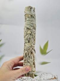 Witte Salie Smudge Stick XL - 23 cm - per stuk